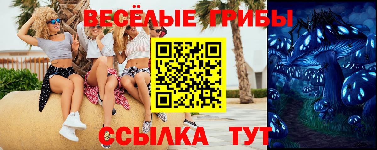 Галлюциногенные грибы Cubensis  Вход с VPN  Камень-на-Оби 